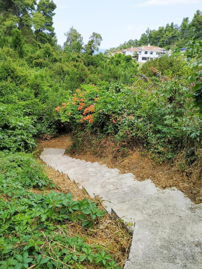 Villa Opali 卡桑德里亚 外观 照片